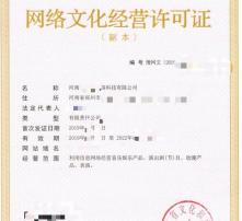 从‘高清新视界’到‘文化新生态’∶网络文化经营中的视觉革命与责任担当