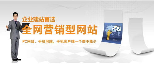 安徽瑶贝全网营销效果分析 网络文化经营的新突破