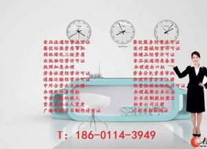 专业代理网络文化经营许可证审批 全面指南与实际操作